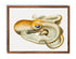mocha wood vintage velodona octopus illustration print wall art